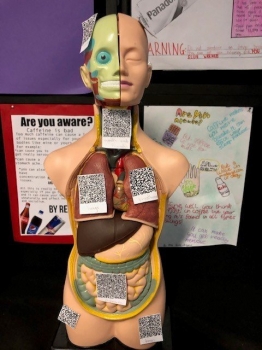 drug_display_1.jpg